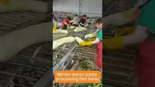 How to make winter melon paste in the food factory?