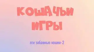 Видео про кошек. "Кошачьи игры"