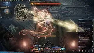 [Lost Ark] Shadespire Tower Floor 25-39 Mayhem Berserker