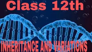 Inheritance and Variations  (part 01)