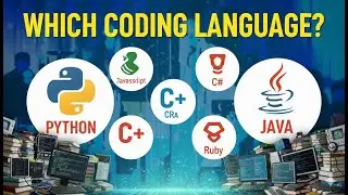 Top 5 Programming Languages for Beginners in 2026