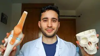 Trabajar como médico en Italia | SSM, el MIR Italiano 🇮🇹 [Parte 2]