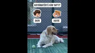 İSF Studios’un Motivasyon Arkadaşı Candy Sorularımızı Cevapladı