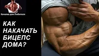 КАК НАКАЧАТЬ БИЦУХУ ДОМА. Комплекс Упражнений