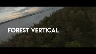 Forest vertical | DJI FPV Drone Cinematic video