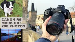 Canon R6 Mark III Review: Sample Photos & Videos from Testing