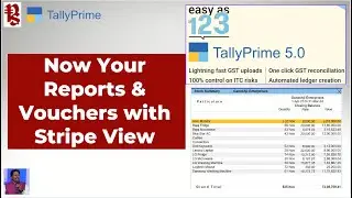 How to view your Reports with Stripe View in TallyPrime