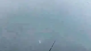 Когда не ждёшь поклёвки.