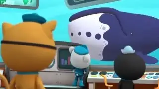 The Octonauts S2E6   Bowhead Whales