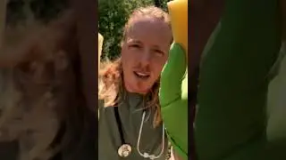 Outside ASMR Cranial Nerve Exam 
