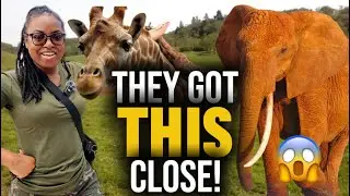 You Should  DEFINITELY visit the ZOO | They Came SO Close! 😱