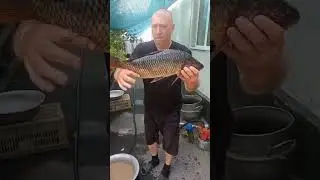 #сазан