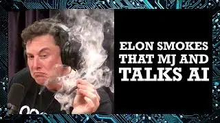 Elon Musk Smokes Weed and Talks About AI