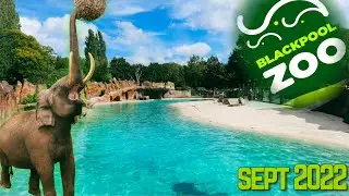 We went to Blackpool Zoo || First Visit @BlackpoolZoo1