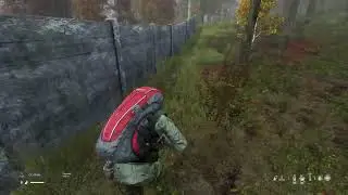 Dayz официальный сервер
