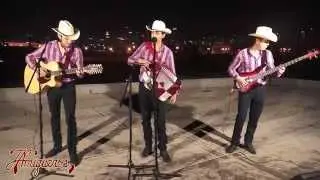Los Amigueros de la Sierra - Calibre 40 (Inedita) (En Vivo 2015)
