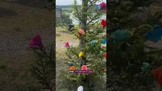 Летний Новый год в Швейцарии #жизньвшвейцарии #швейцария