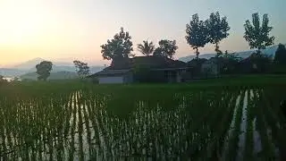 sunrise