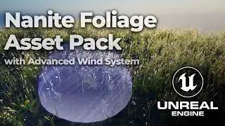 Photorealistic Nanite Foliage with Advanced Wind System | European Meadow for Unreal Engine 5