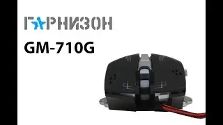 Обзор игровой мыши Гарнизон GM-710G
