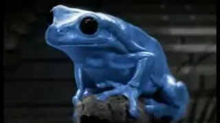 Earl Boykins (2005 Nike ad - Frog).mp4