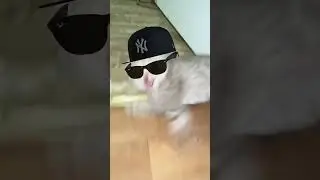 сори ребят что так долго не было видео