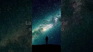 Viaggio in Lapponia: Cosa vedere assolutamente 