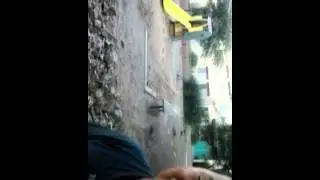 The melon mace!