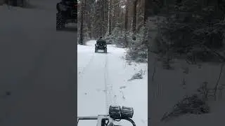 Шум вариатора Stels Leopard 600
