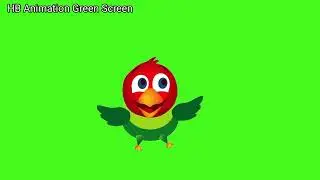 Parrot 🦜 Animation Green Screen