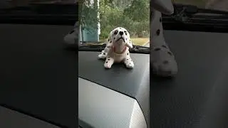 mod dog #maybach #gls600