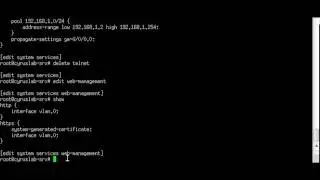 Junos: Remove insecure services on default configuration