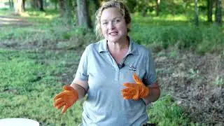 Some benefits of using aged manure in your garden