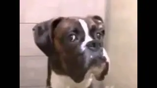 Кто здесь!!!