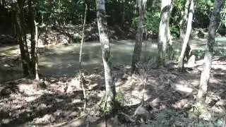 DSC 0212