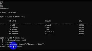LEC#14(how to insert multiple entry in database)