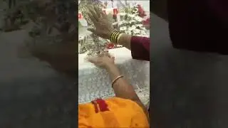 Relic of St. John Paul II in Mumbai