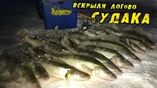 The crowd's MISTAKE became our TRIUMPH. Sometimes you just have to GET AWAY FROM EVERYONE! Winter...