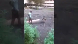 Bahubali spoof funny action with tree