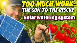 How to - Solar Watering System Setup for Greenhouse & Polytunnel (Reusable Year After Year!)