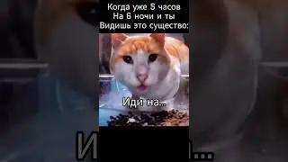 мисс котик упала в обморок.