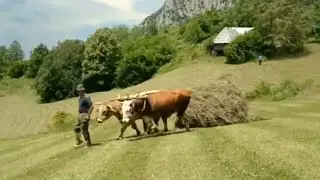 SELA NAM ODLAZE U ZABORAV? (Kosanica u Mazoču na planini 2020.)