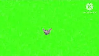 hen running green screen