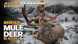 MOUNTAIN MULE DEER HUNTING | BC REGION 3 P.2