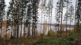 #Finland
