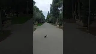 Сумгайыт городской парк  oceнь 🍁🍂🍃🌳22.09.2023