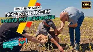 Досліди на кукурудзі🌽 Оцінка сходів. Аналіз ґрунту. Precision Planting