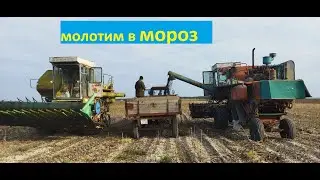 Мороз.А уборка продолжается.Енисей 1200.btc