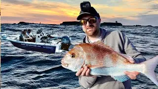 A realistic day of Catching Snapper in Melbourne.