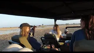 Come with us to Botswana! (Travel Vlog)